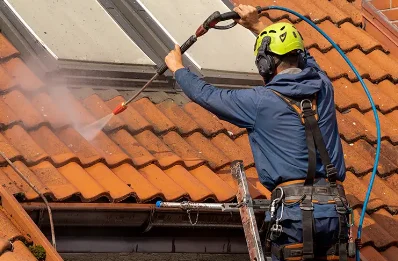 Démoussage et hydrofuge de toiture à Louzy